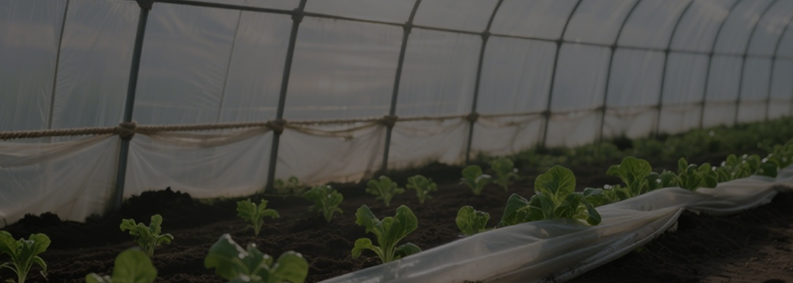 Mga kemikal na ginagamit sa pang-araw-araw